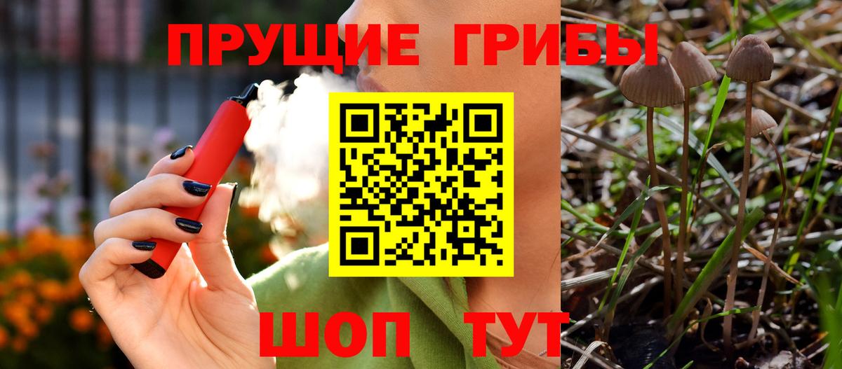 Кушва  Псилоцибиновые грибы MAGIC MUSHROOMS  Вход с VPN 